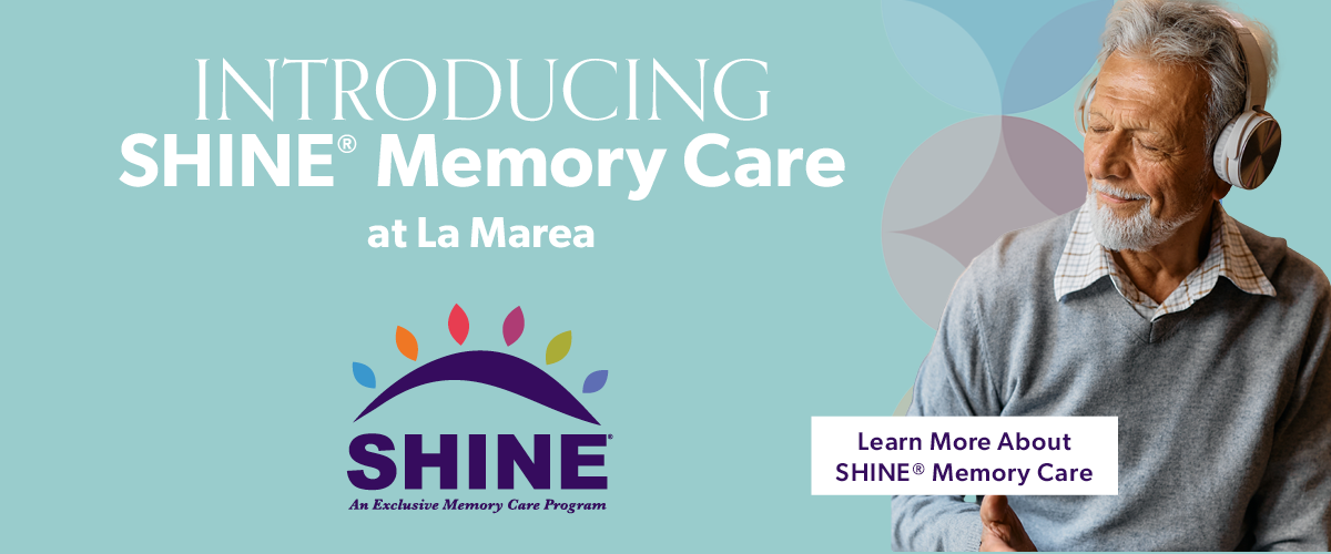 LAMA-0034 - DigitalAd_McClatchy_Introducing SHINE_V1_March 2026_1200 x 500